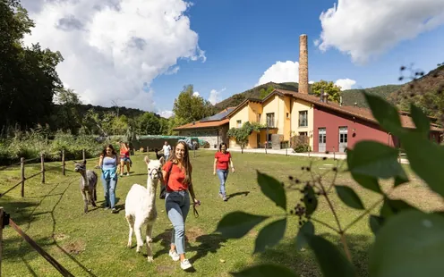 Ca.Stella: natura e inclusione ai piedi del Monte San Giorgio