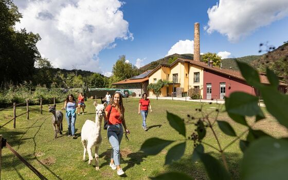 Ca.Stella trekking con gli alpaca