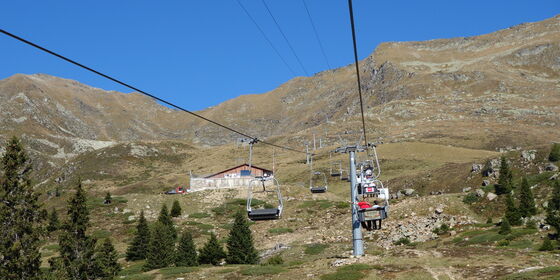 Carì