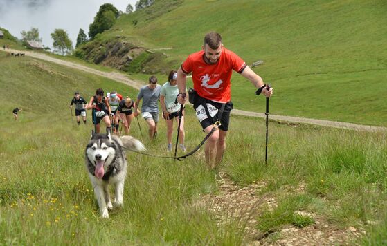Tamaro Trail 2024