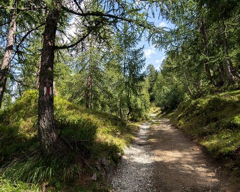 Escursione Valle Bedretto con il TCS