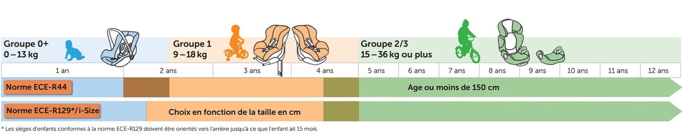 Les différents groupes