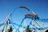 CONCOURS Europa-Park 