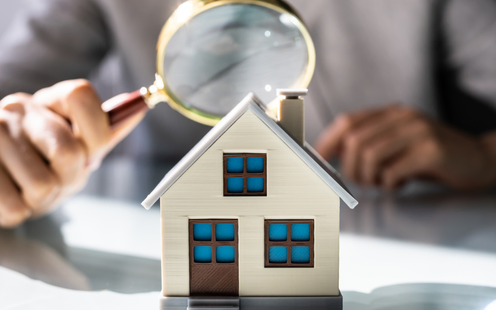 La Pierre Immobilier 