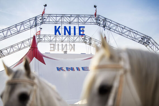 Knie