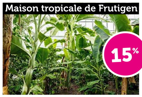 Maison tropicale de Frutigen
