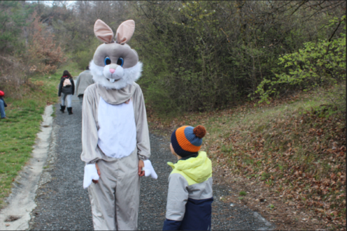 Chasse aux oeufs 