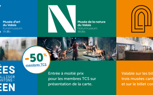 Musées cantonaux du Valais