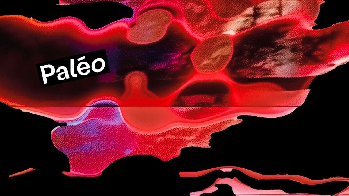 Paleo