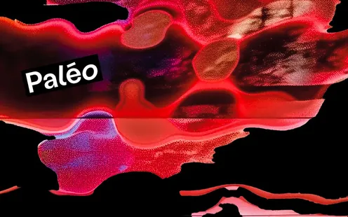 Paléo Festival