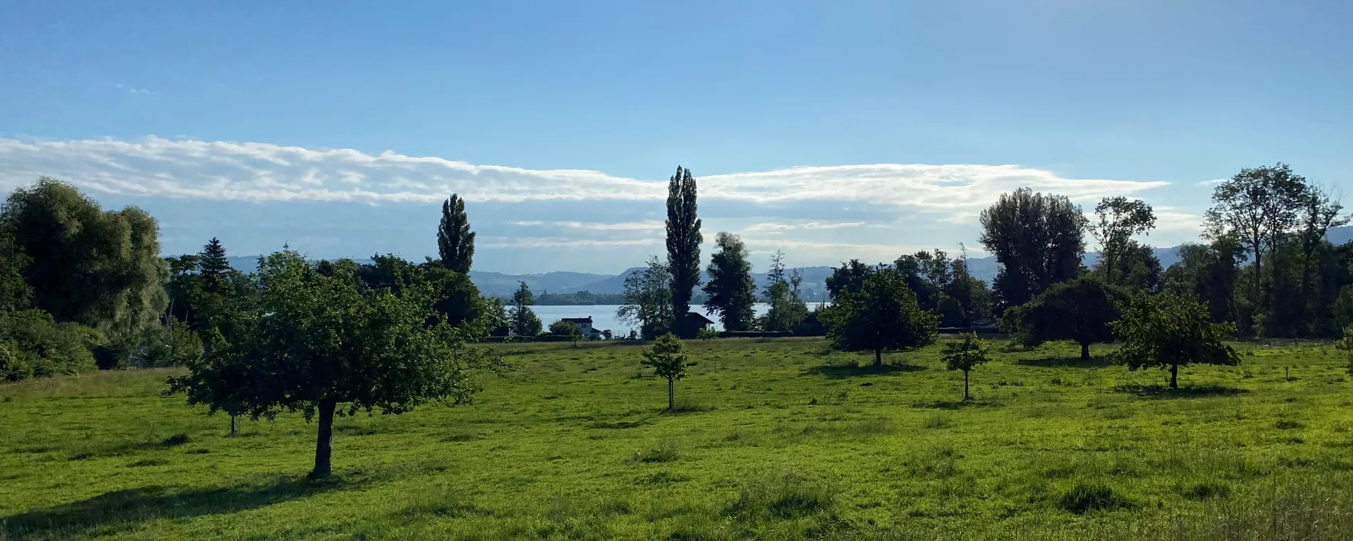 Sektion Zug