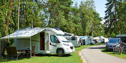TCS Camping Flaach am Rhein