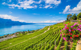 Meraviglioso paesaggio sul lago di Ginevra