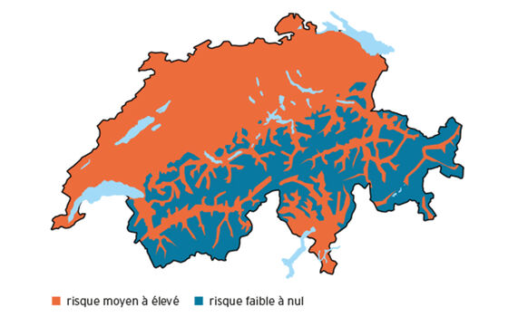 Tiques: la Suisse, zone à risque