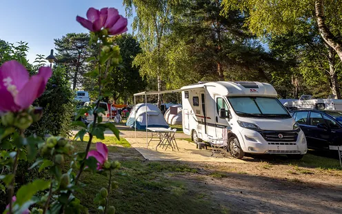 TCS Campingferien - attraktive Rabatte für TCS Mitglieder