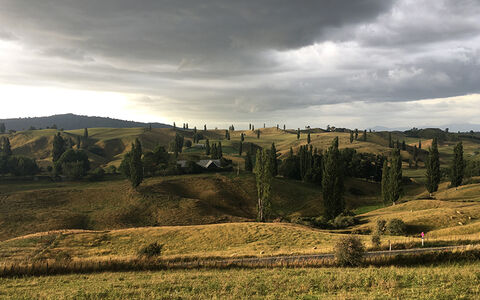 Hills of Matamata