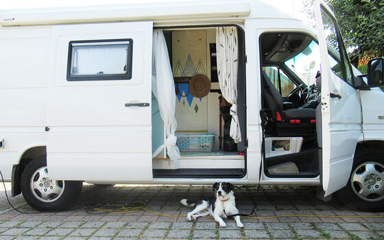 5. Viaggiare con il cane
