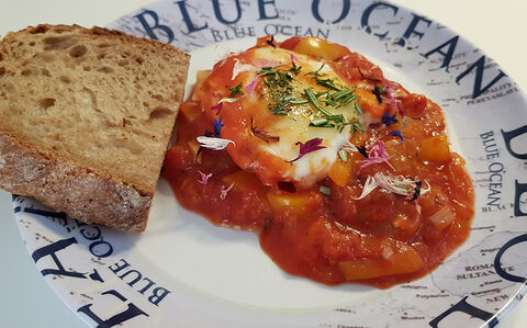 Camping Rezept Shakshuka