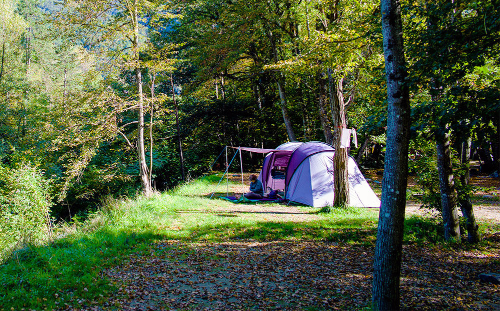 Petite tente au milieu d'une prairie entourée d'arbres