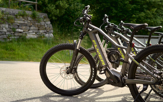 Flyer Bikes