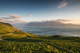 UNESCO Welterbe Lavaux