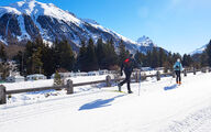 Campings du TCS ouverts en hiver