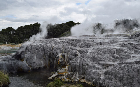 Te Puia Rotorua