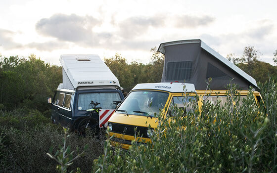 Wild campen im Ausland