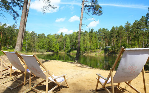 Coswig / Anhalt - Waldcamping Olympiasee  