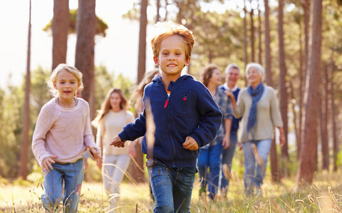 le zecche vivono solo nel bosco?