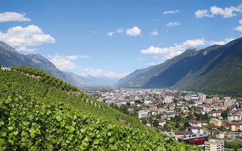 Blick über Martigny und das Rhonetal