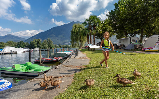 Campeggio-a-Tenero-Copyright-Ticino-Turismo-Foto-Alessio-Pizzicannella