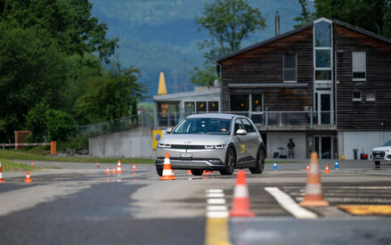 Hundetransportboxen Test 2025