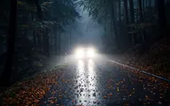 Cours de conduite en automne
