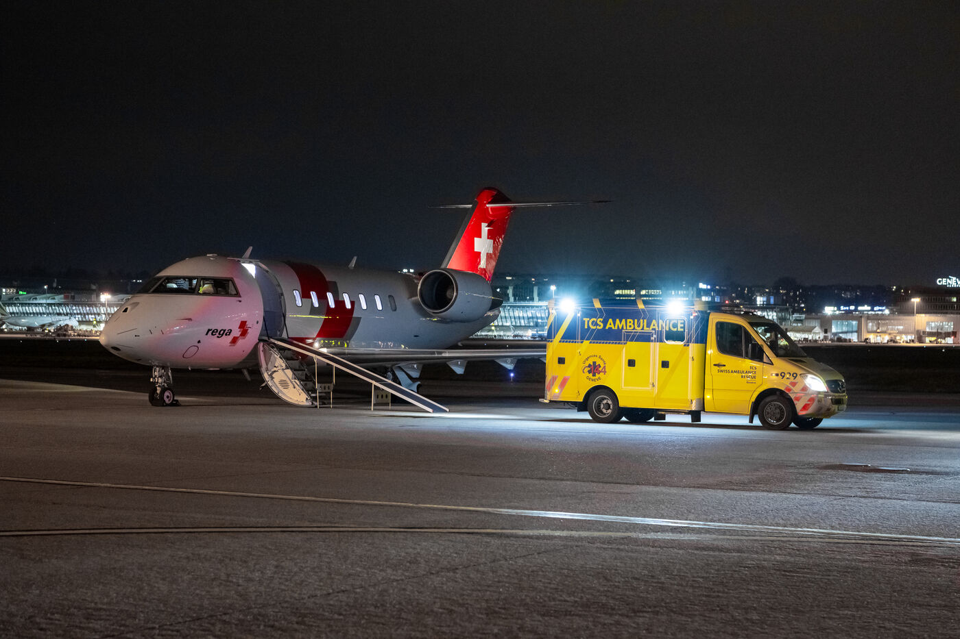 Repatriierungen