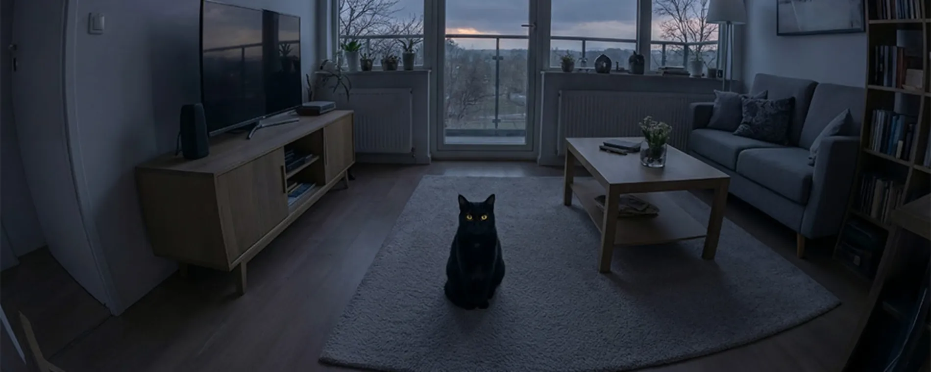 TCS Home Security