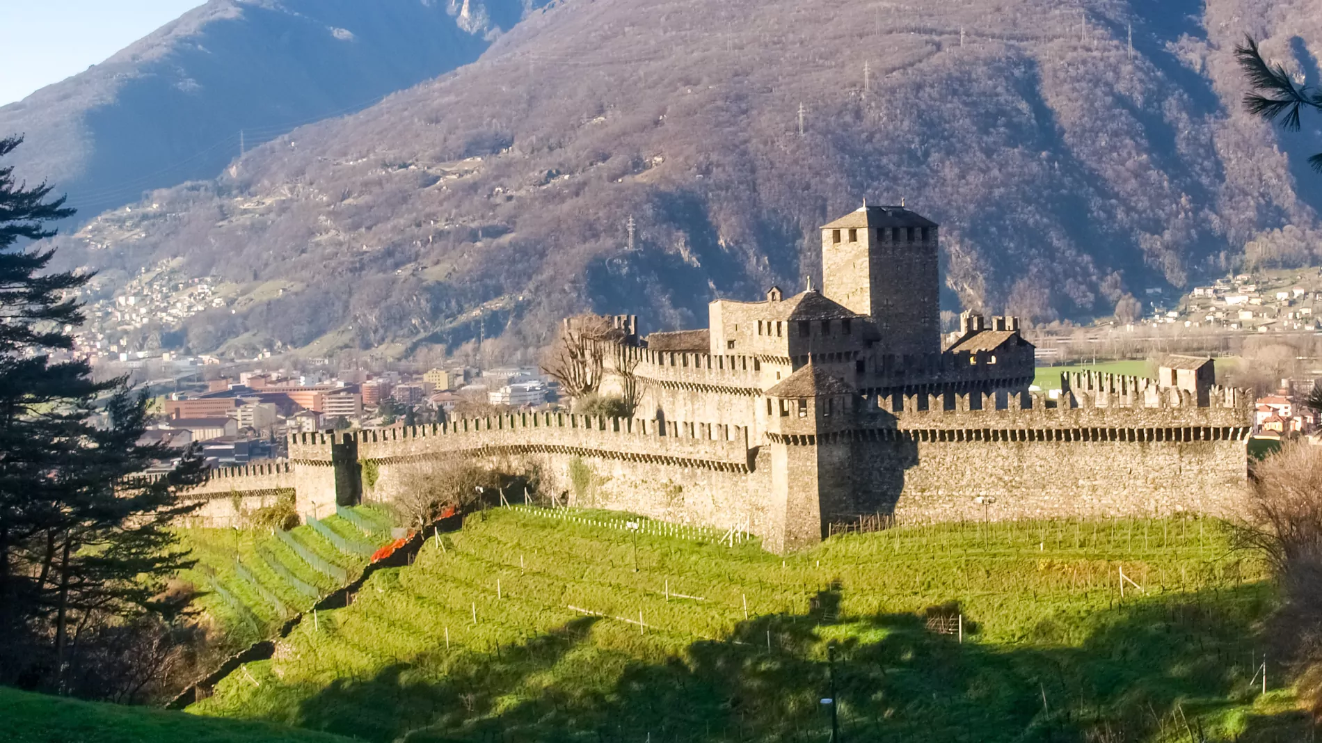 Gruppo regionale Bellinzonese e Valli 