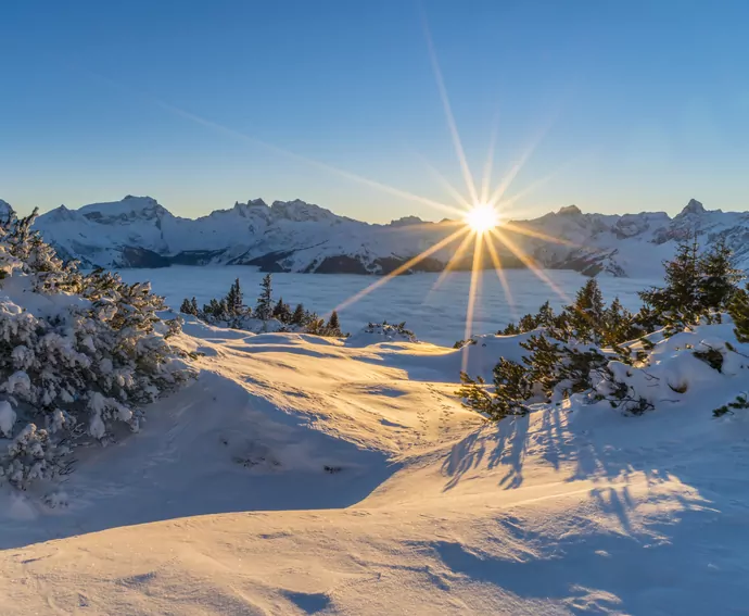 Reicher Winter