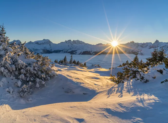 Un hiver plein de surprises