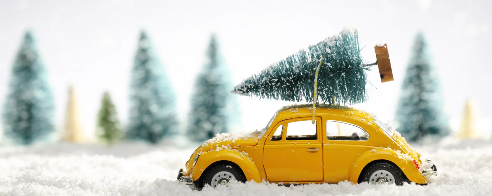 Öffnungszeiten Feiertage