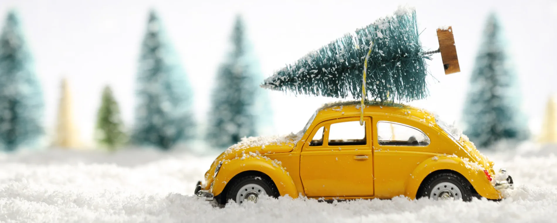 Heures d'ouverture pedant les fêtes