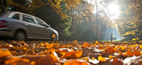 Viaggiare in autunno: una stagione rischiosa 