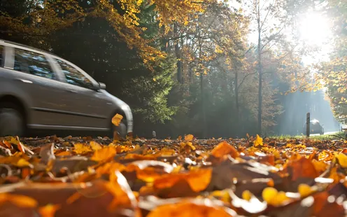 Diese Gefahren drohen im Herbst auf der Strasse