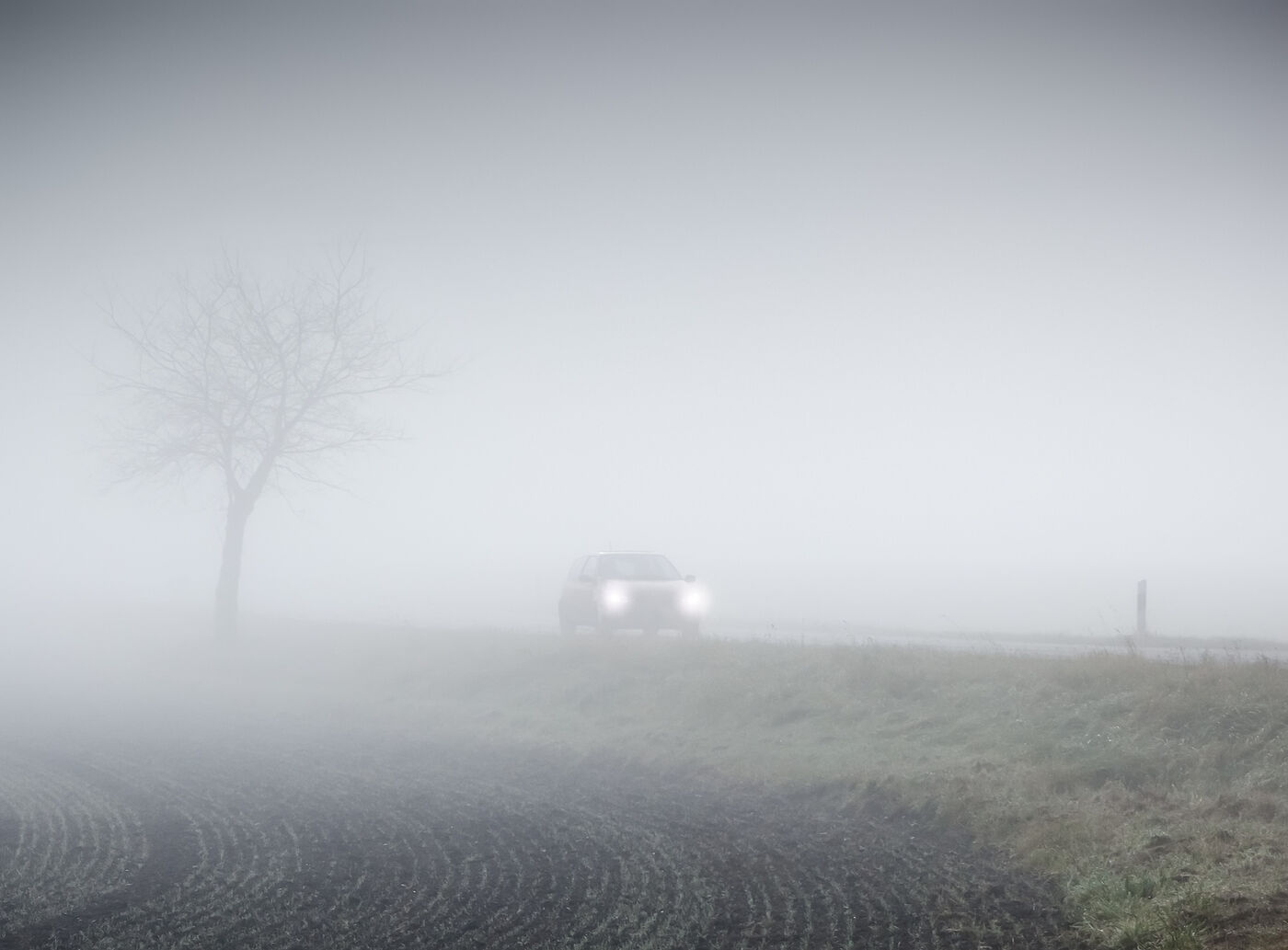 Nebel