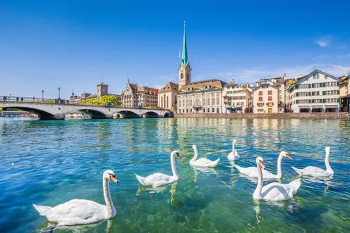Sektion Zürich