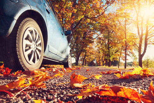 Unterwegs im Herbst: Gute Sichtbarkeit für alle Verkehrsteilnehmer