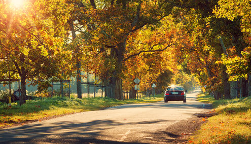 Sicuri in auto: come partire con le migliori premesse?