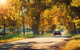 Sécurité en voiture