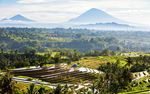 Bali Reisterrassen. Reisfelder von Jatiluwih