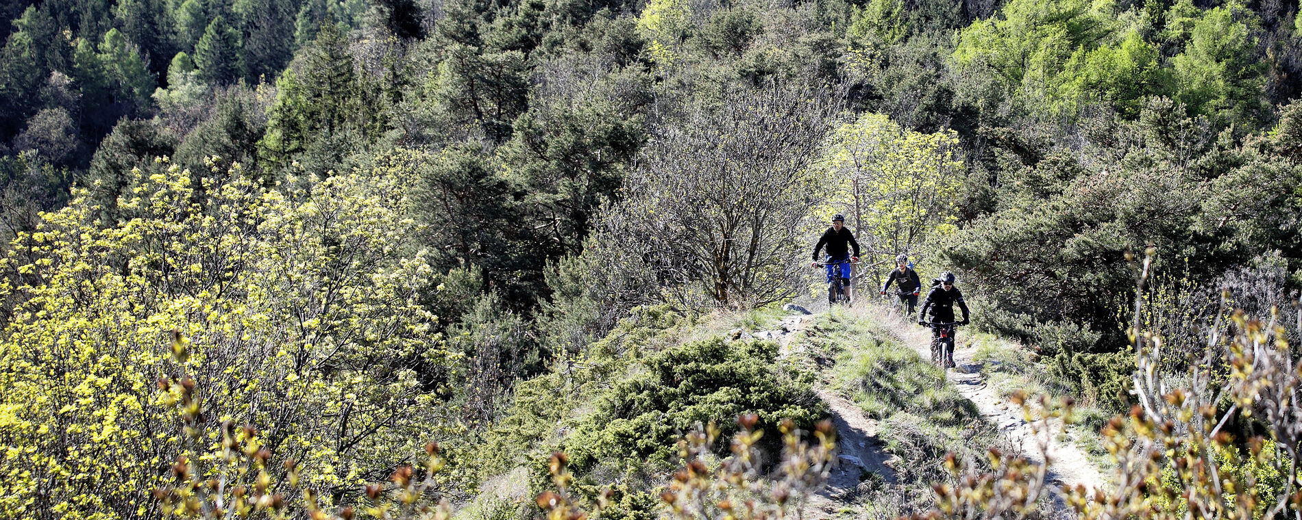 Neun «Fully» E-Mountainbikes im TCS-Test